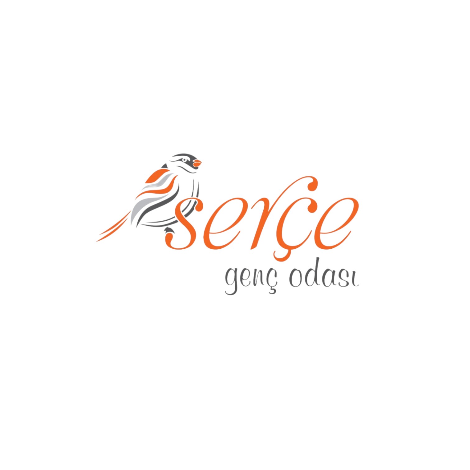 Serçe Genç Odası
